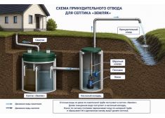 Зорде Рейн 7